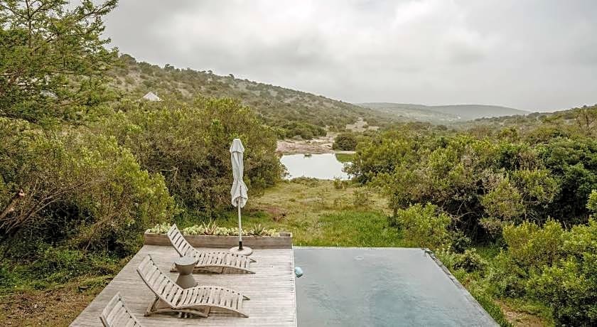 Bukela Game Lodge - Amakhala Game Reserve