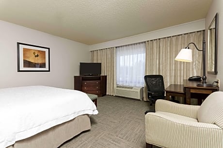 1 KING BED STUDIO SUITE W/SOFABED NONSMOKING, HDTV/FREE WI-FI/SITTING AREA/FRIDGE/MICROWAVE, 50 INCH HI DEF