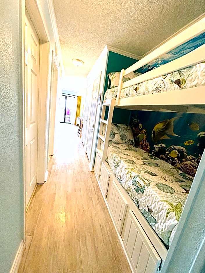 Beautiful newly renovated beachfront condo at Casa Del Mars