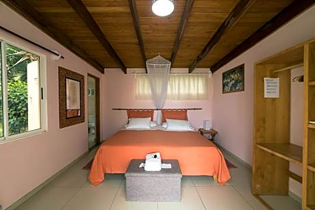 Double or Twin Room with Ocean View