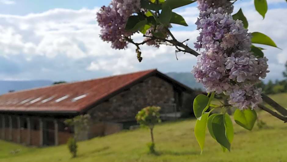 Izan Puerta de Gredos