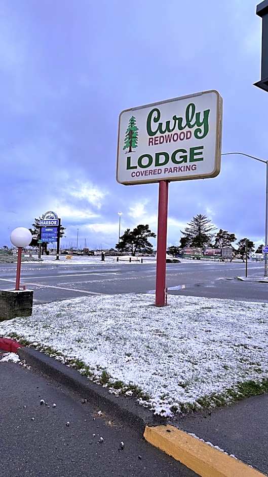 Curly Redwood Lodge