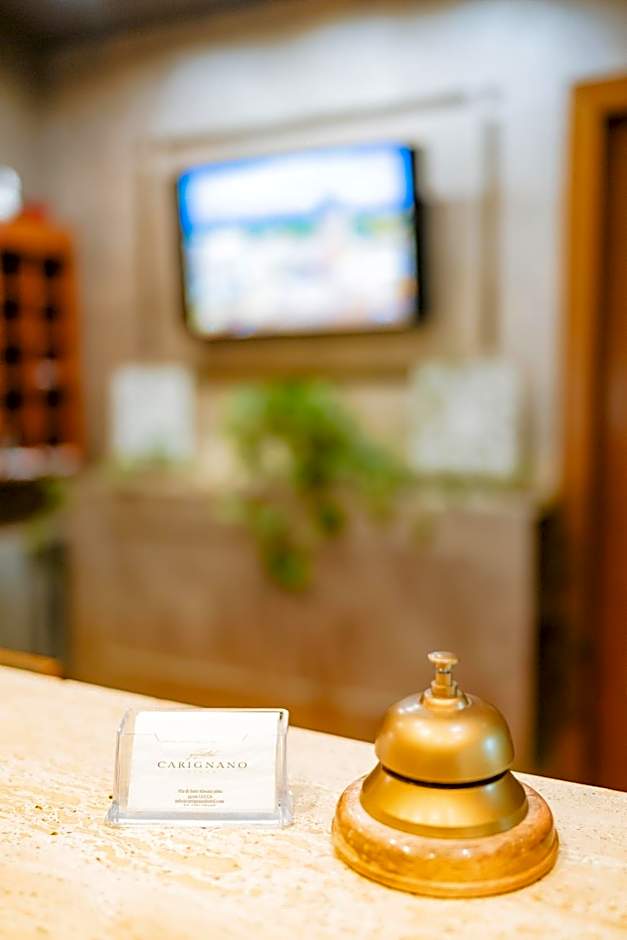 Hotel Carignano