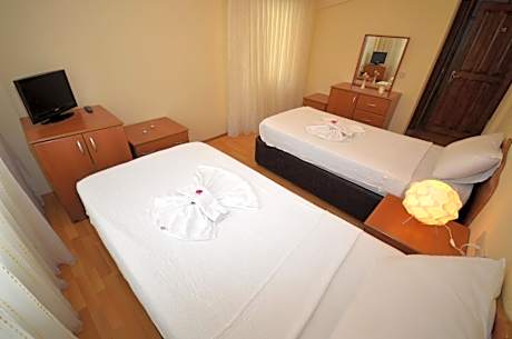 Twin Room with Mountain View