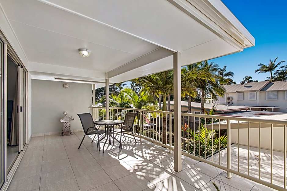 Noosa River Palms