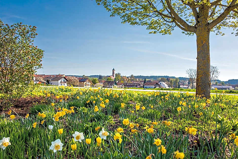 Best Western Aparthotel Birnbachhohe