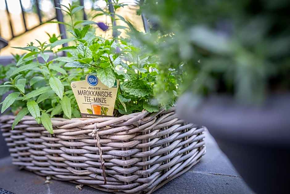 Engel 16, Boutique Hotel - Adults Only