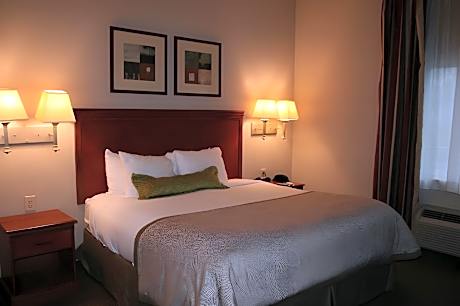 Studio Suite 1 King Bed Smoking