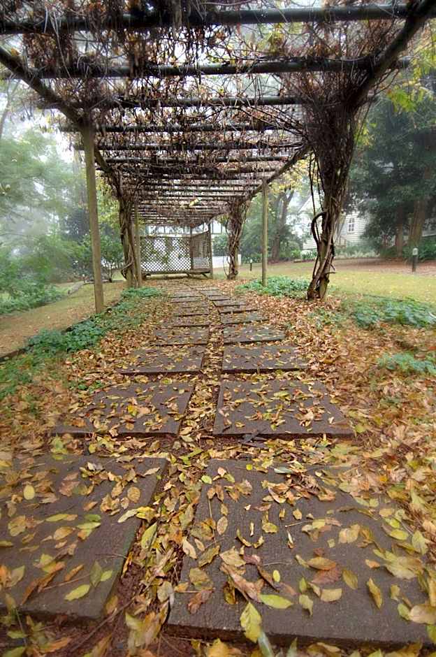 The Castle on Tamborine