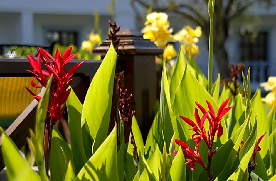 Samara Hotel Bodrum Ultra All Inclusive