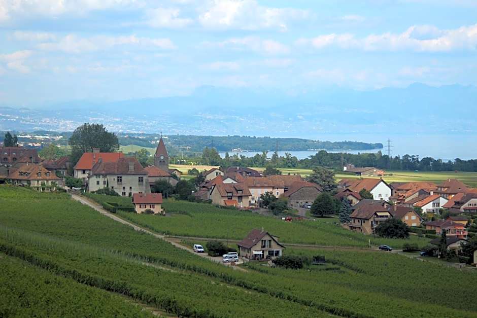 Au cœur du vignoble sur Bursins