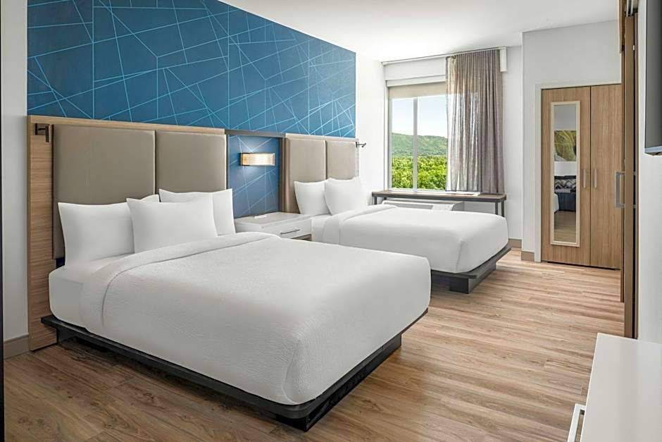 SpringHill Suites by Marriott Roanoke North