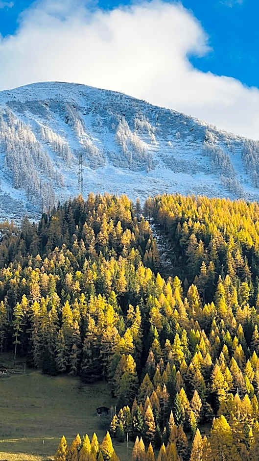 Berglodge Goms (Hotel)