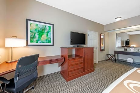 1 King Bed, Suite, Nonsmoking