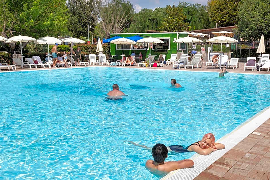 Roma Camping in Town