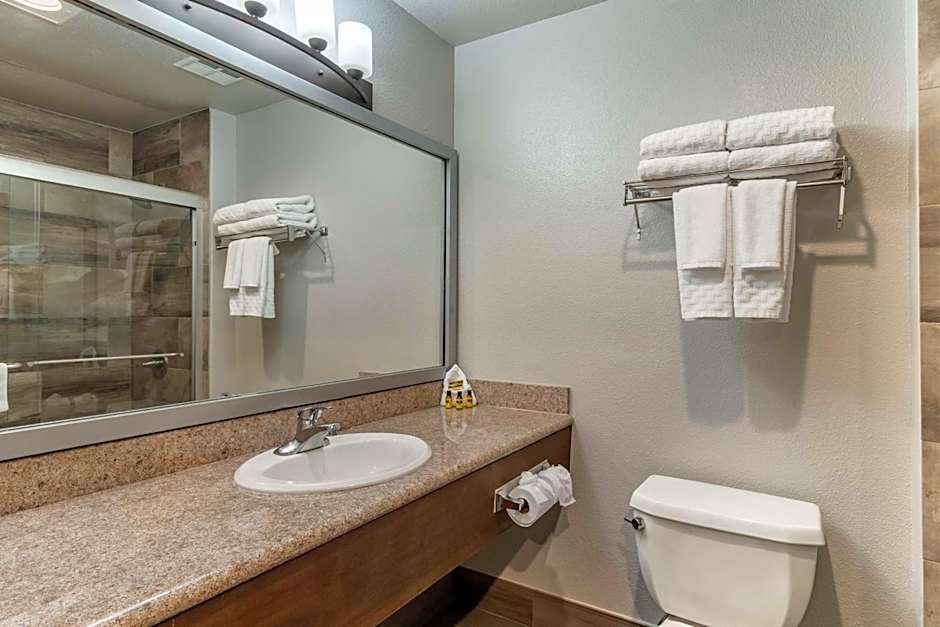 Best Western Plus Vineyard Inn