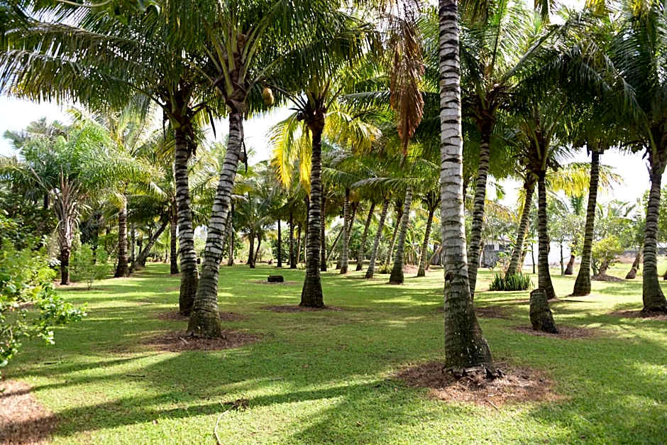 Domaine des Oiseaux Réunion