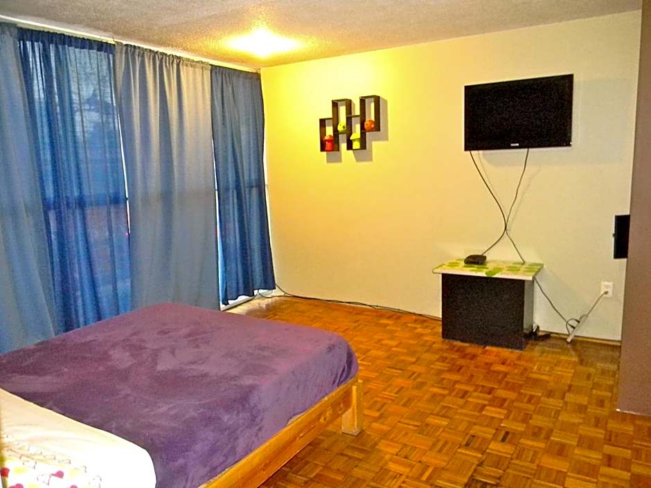 B&B México Roma Norte