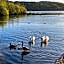 Owls House - Lodge with hot tub- Lake District