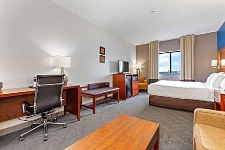 1 King Bed, Suite, Nonsmoking