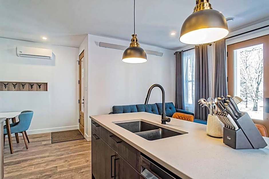 201 Condo au rez de chaussée , au coeur de Bromont