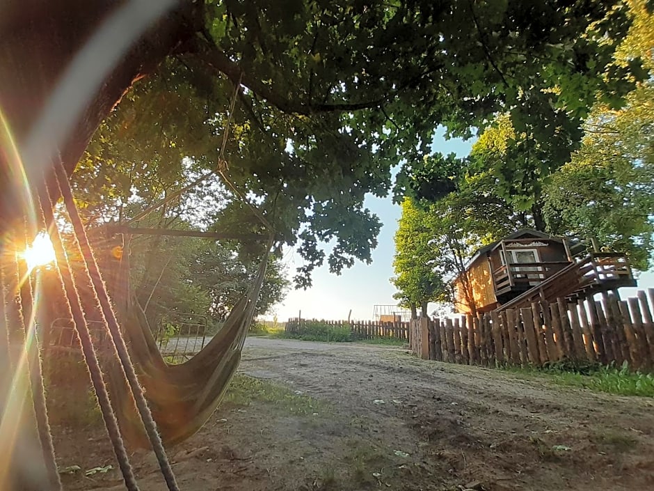 Podlasie Domek na drzewach