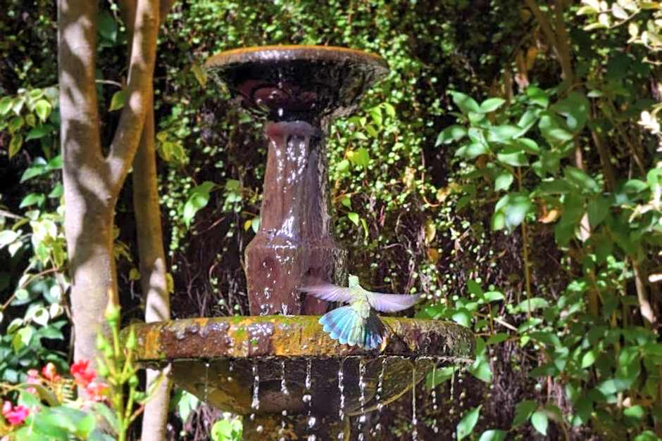 Hotel Aranjuez Cochabamba