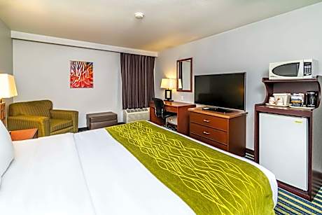 1 King Bed, Nonsmoking