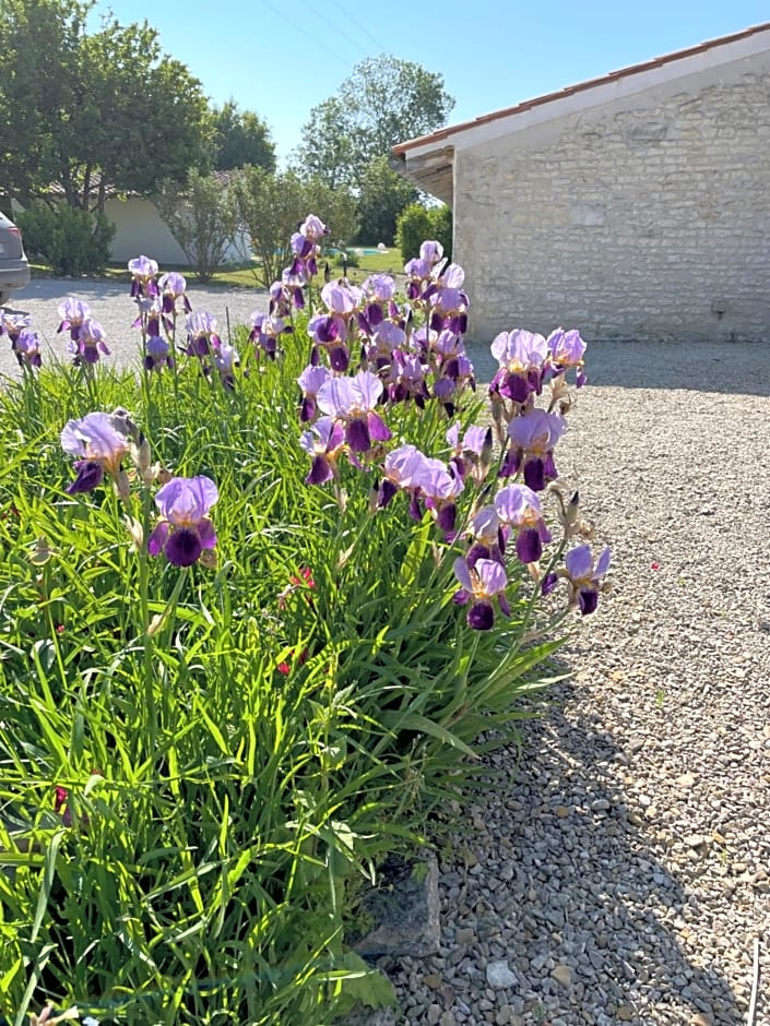 Le Clos du Plantis