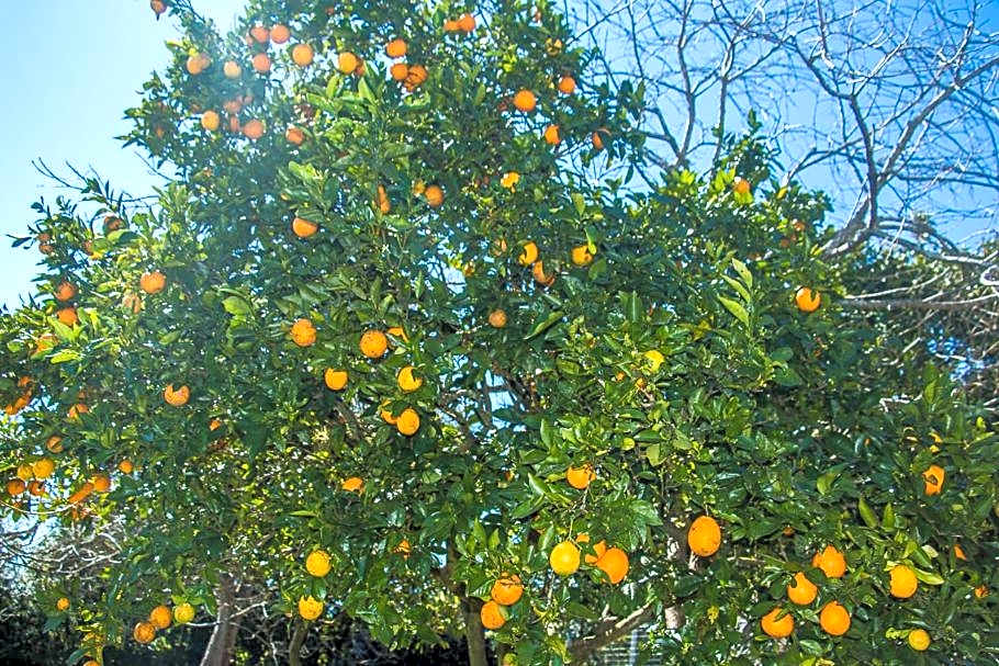 Pousada Villa Romantica