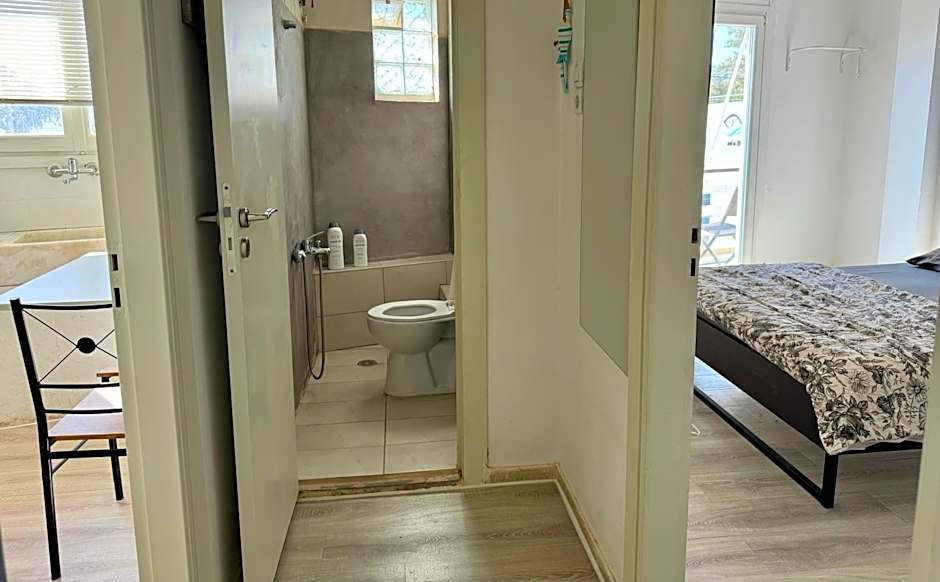 Starfish Seaside Studio