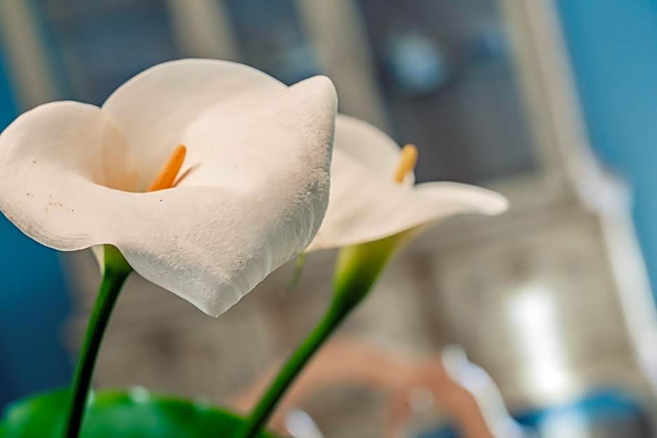 Casa Rural Villa San Juan