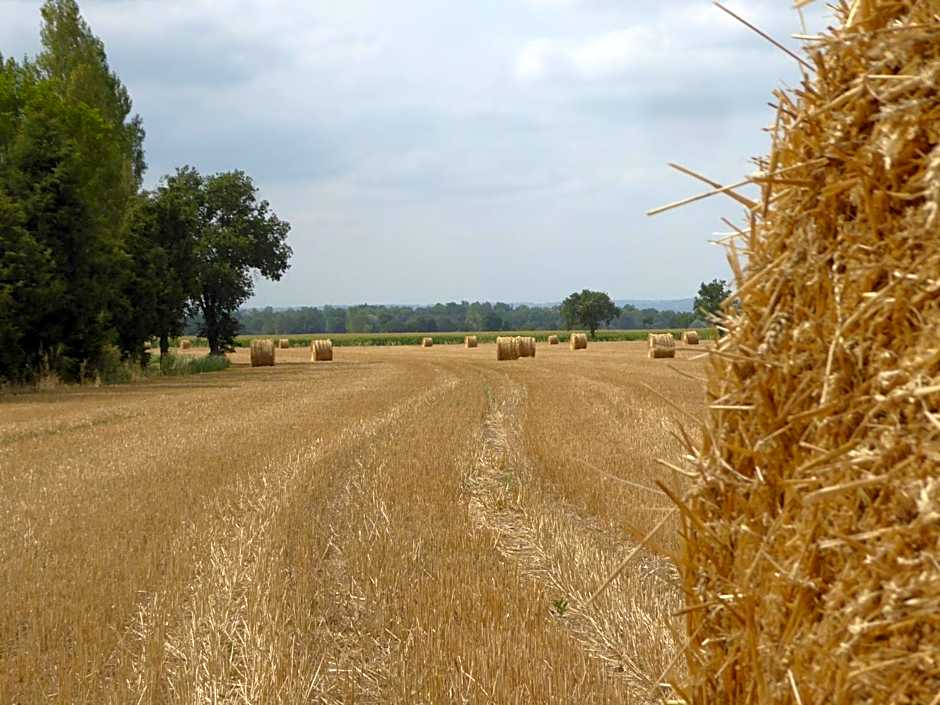 La Madinerie