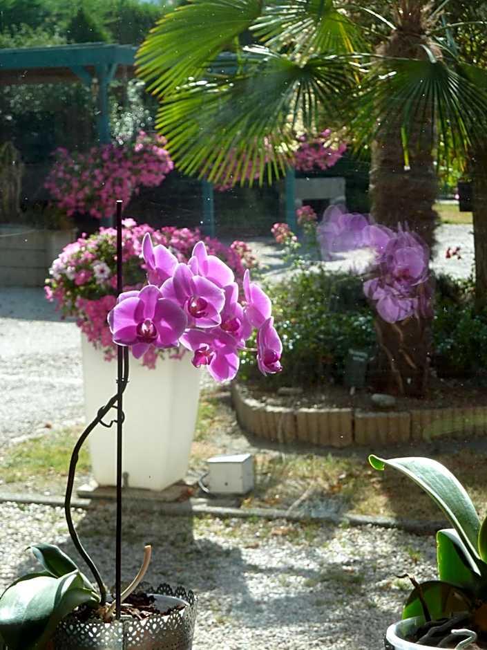 Les Bruyères du Mont