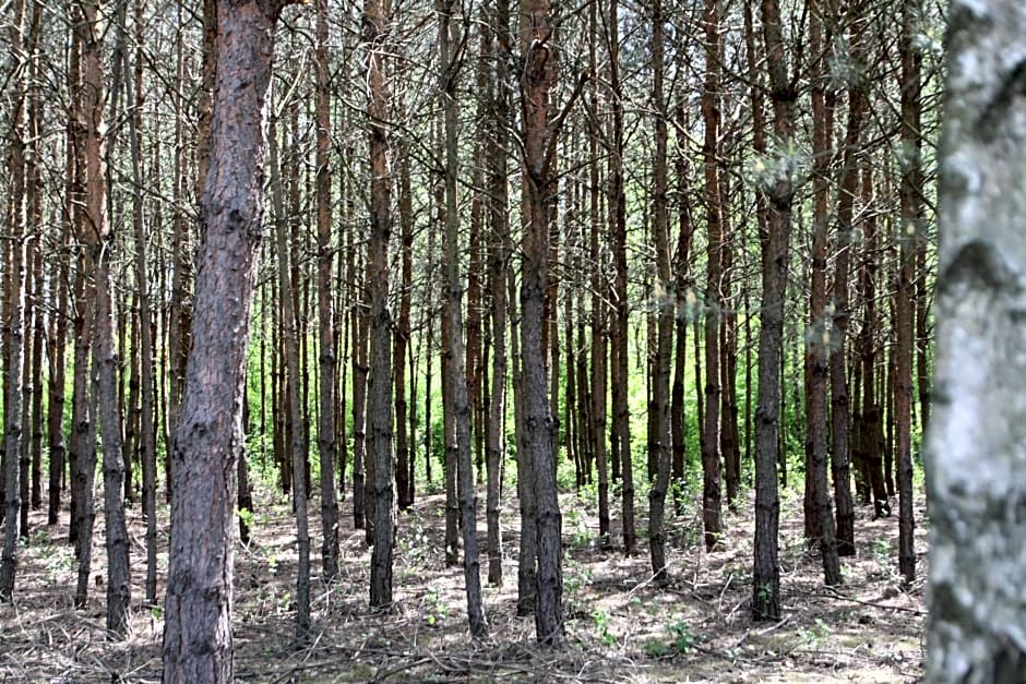 Dom imprezowy z noclegami Dziecinów