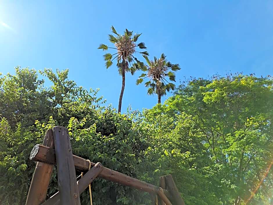 Peaches & Cream Bed & Breakfast