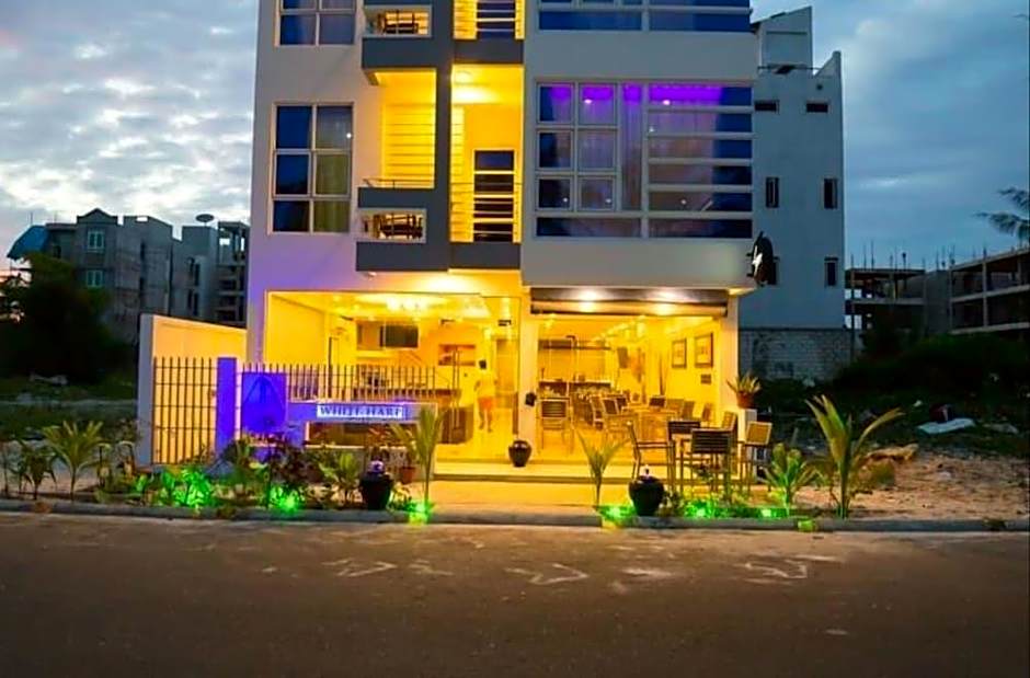 The White Harp Beach Hotel