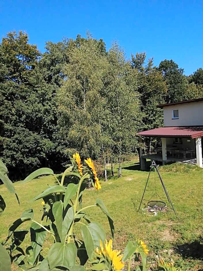 CHEZ YAYA Bogumiła Szeląg