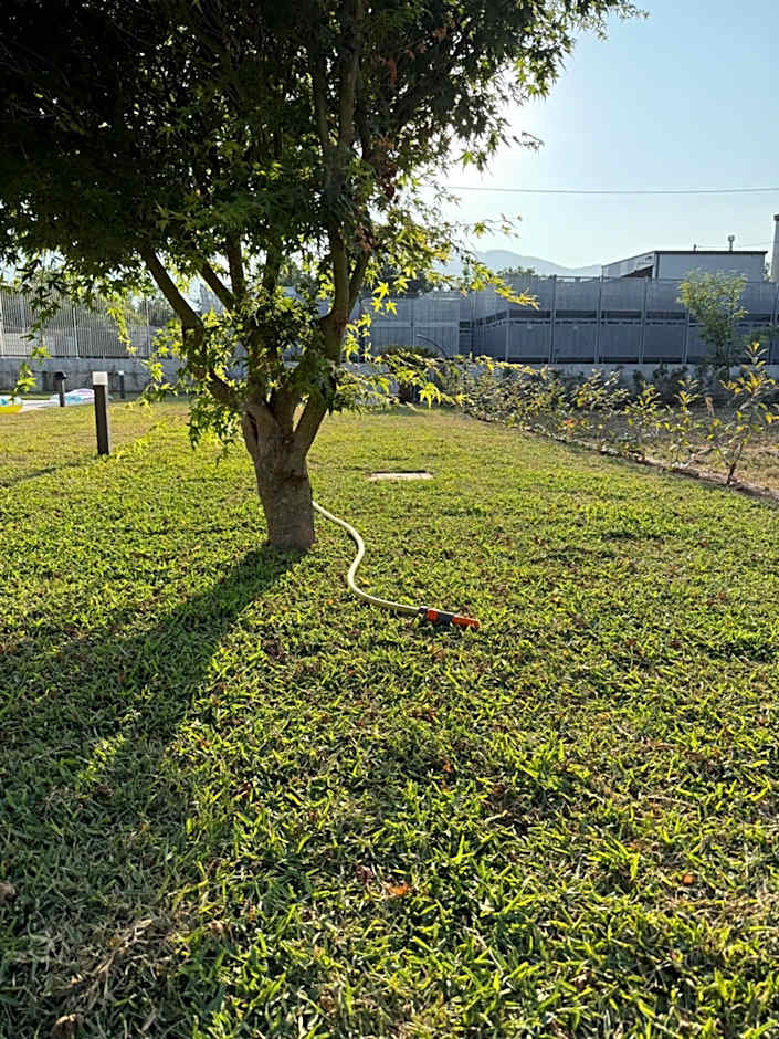 Santa Maria Apartments