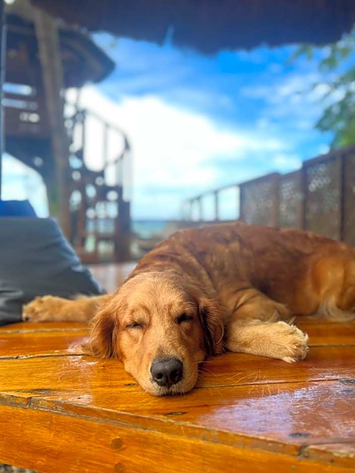 White Bada Guesthouse