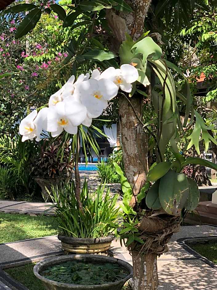 Ocean Suite By A&J - Exceptional Beachfront Apartment - Candidasa