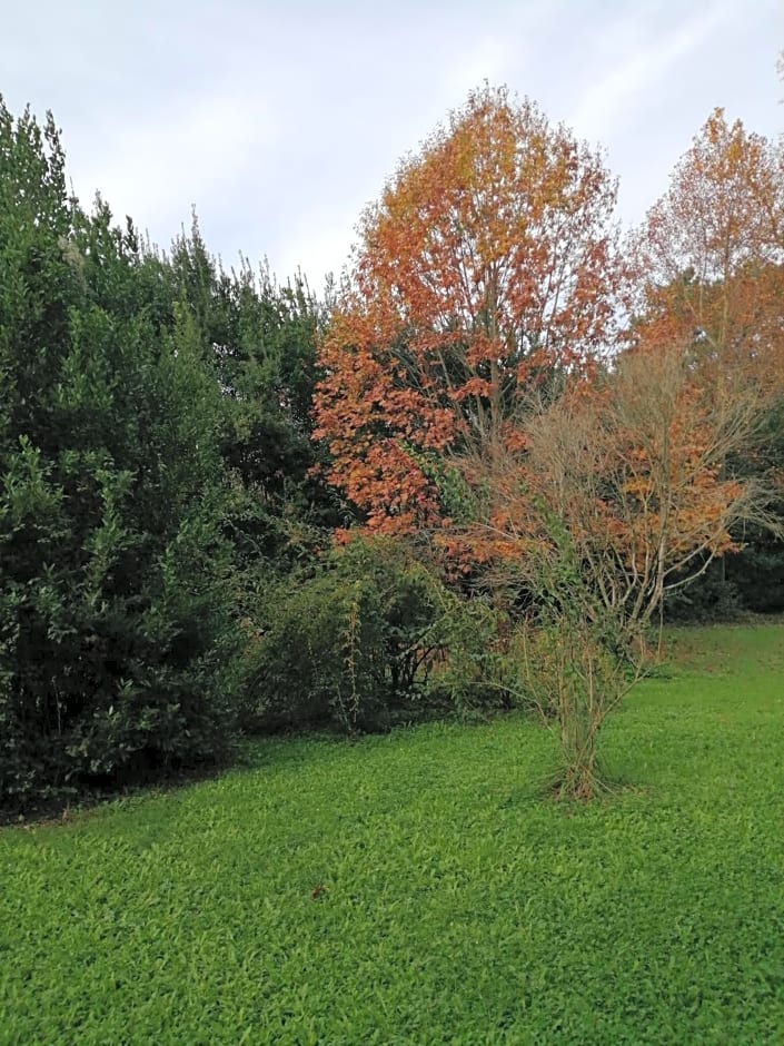 Villa La Dogana B&B di Charme - Historic Villa with a beautiful garden - private parking