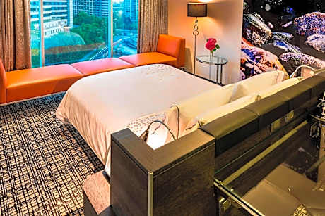 Contemporary Queen Room