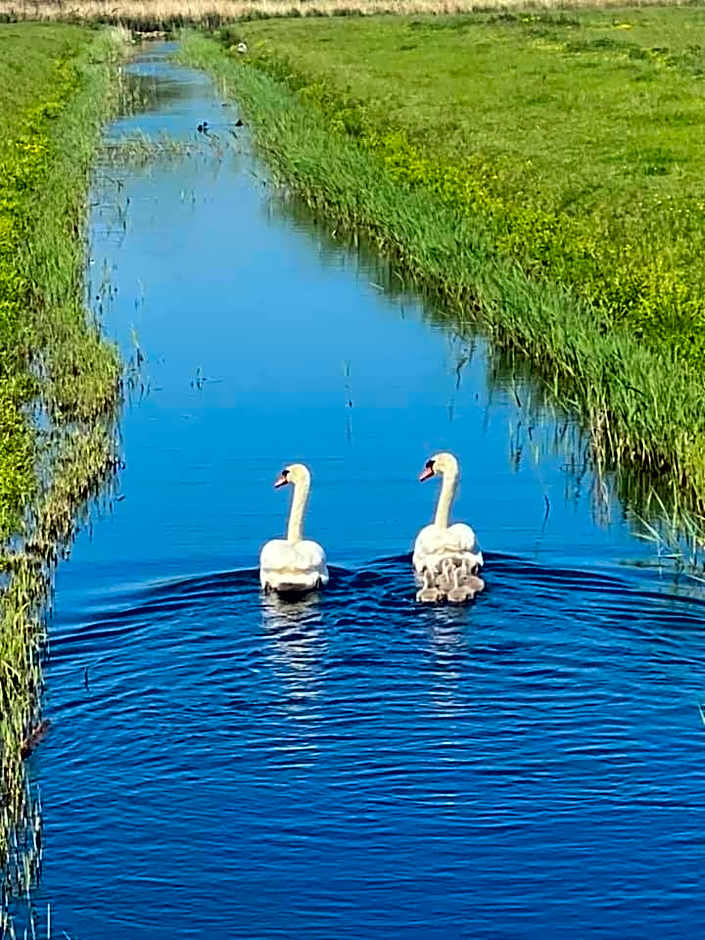 Luxury Whitstable Caravan