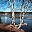 Marble Lake Lodge