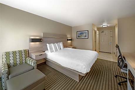 1 King Bed, Nonsmoking