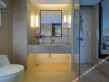 Vienna International Hotel (Ningde Wanda)