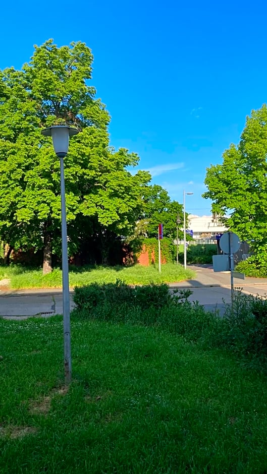 Ferienwohnung -Isola Madre
