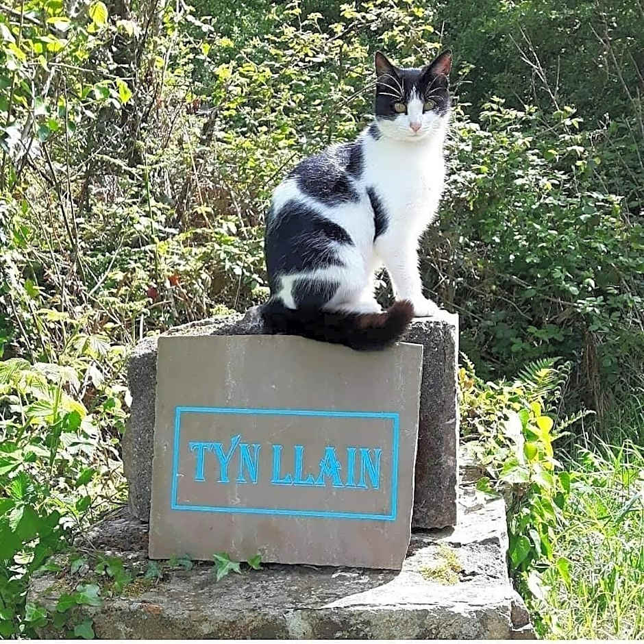 Tyn Llain B&B
