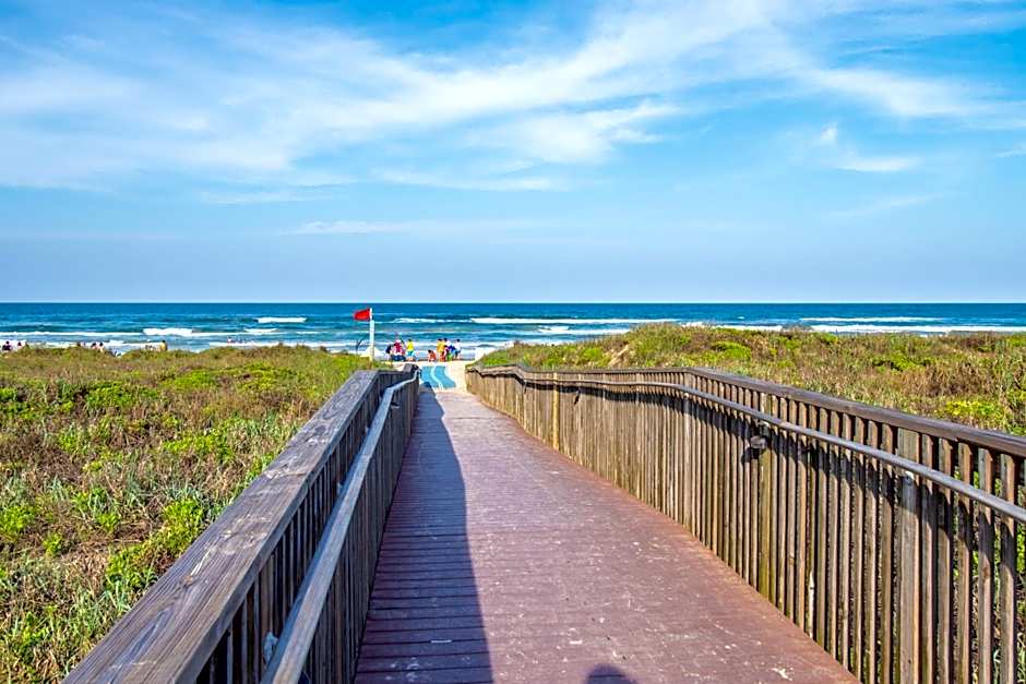 Seagull's Landing By The Ocean